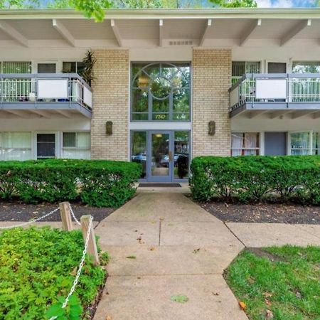 Entire One Bedroom Apartment Annandale Exterior photo