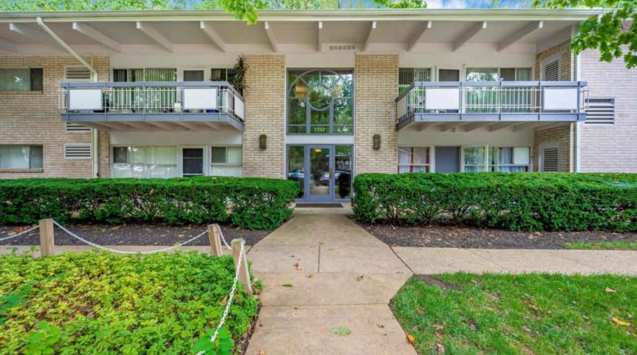 Entire One Bedroom Apartment Annandale Exterior photo