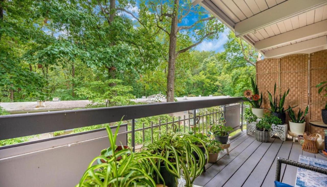 Entire One Bedroom Apartment Annandale Exterior photo